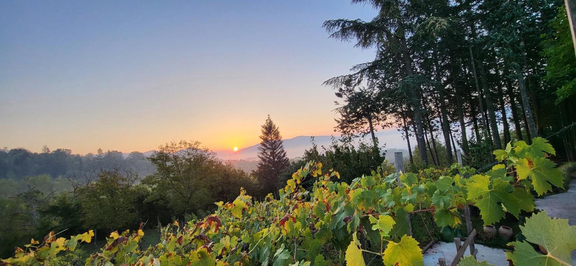 "Il Casaletto" Agriturismo Moderno, Vista Panoramica E Cibo Spettacolare- 스쿠르콜라 마르시카나 외부 사진
